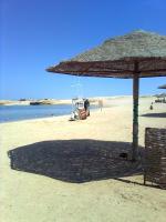 faridاسمى الحقيقى